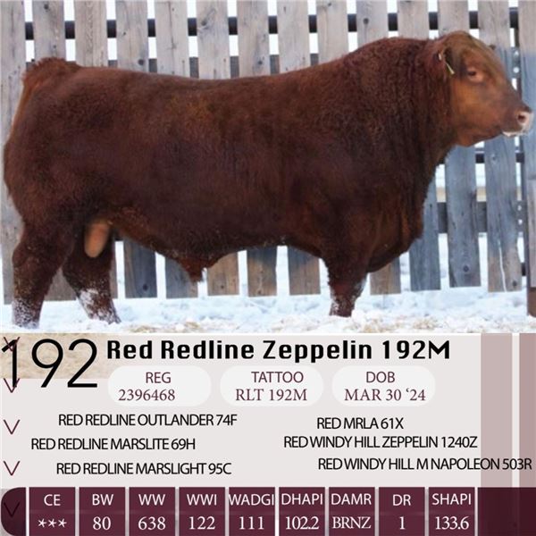 Red Redline Zeppelin 192M