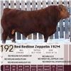 Image 1 : Red Redline Zeppelin 192M