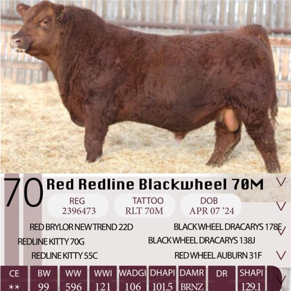 Red Redline Blackwheel 70M