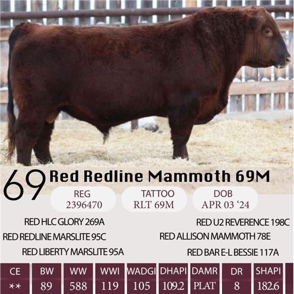 Red Redline Mammoth 69M