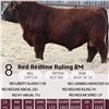 Image 1 : Red Redline Ruling 8M