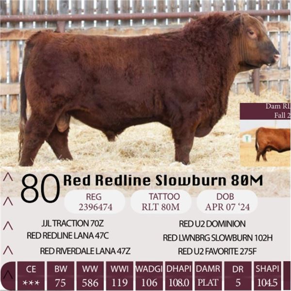 Red Redline Slowburn 80M