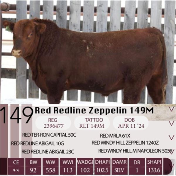 Red redline Zeppelin 149M