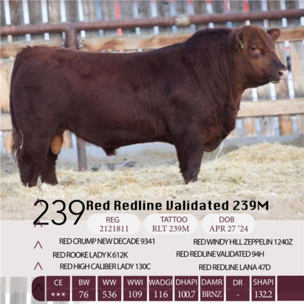 Red Redline Validated 239M