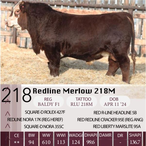 Redline Merlow 218M