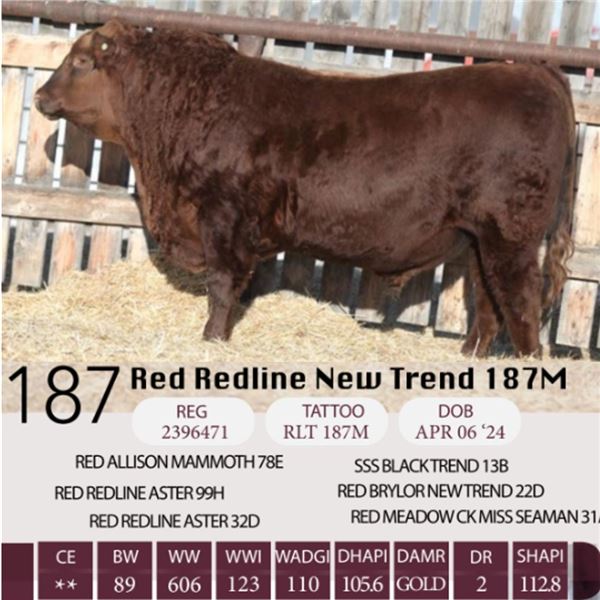 Red Redline New Trend 187M