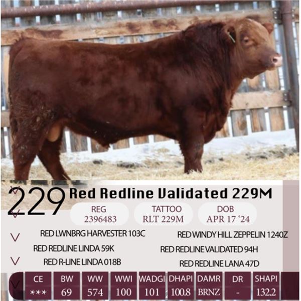 Red Redline Validated 229M