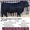 Image 1 : Redline Cash 204M