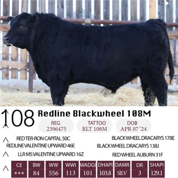 Redline Blackwheel 108M