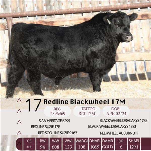 Redline Blackwheel 17M