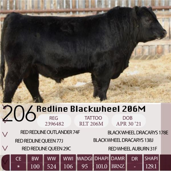 Redline Blackwheel 206M