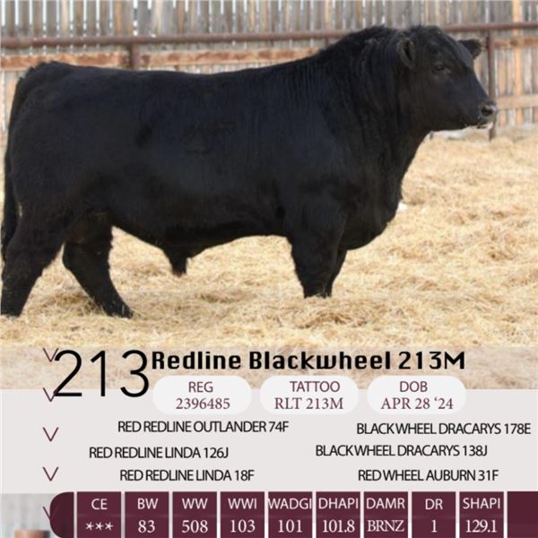 Redline Blackwheel 213M