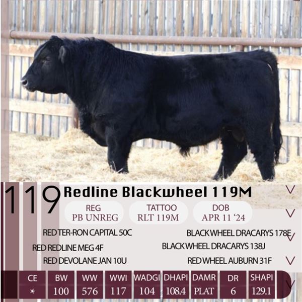 Redline Blackwheel 119M