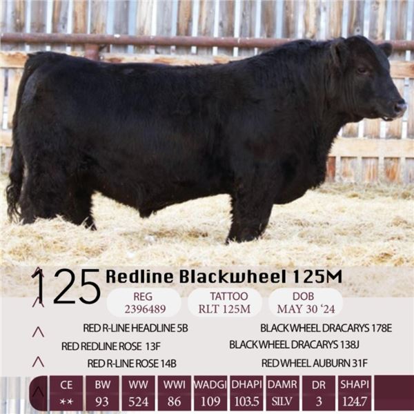 Redline Blackwheel 125M