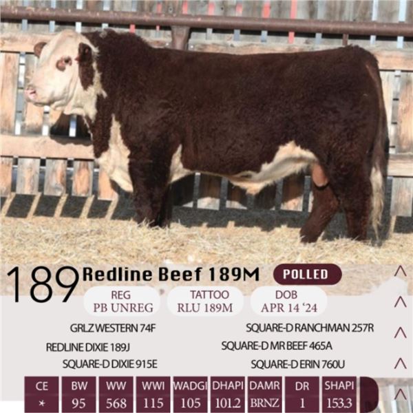 Redline Beef 189M