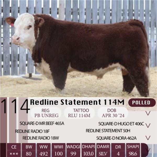 Redline Statement 114M