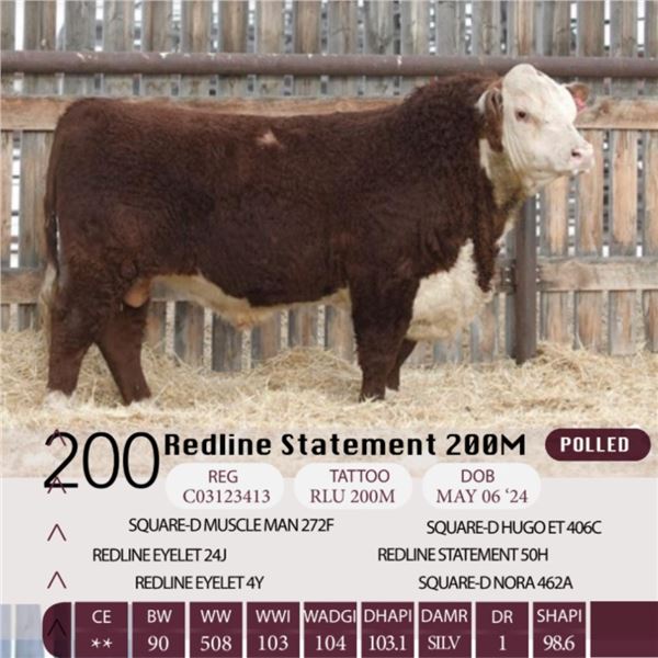 Redline Statement 200M