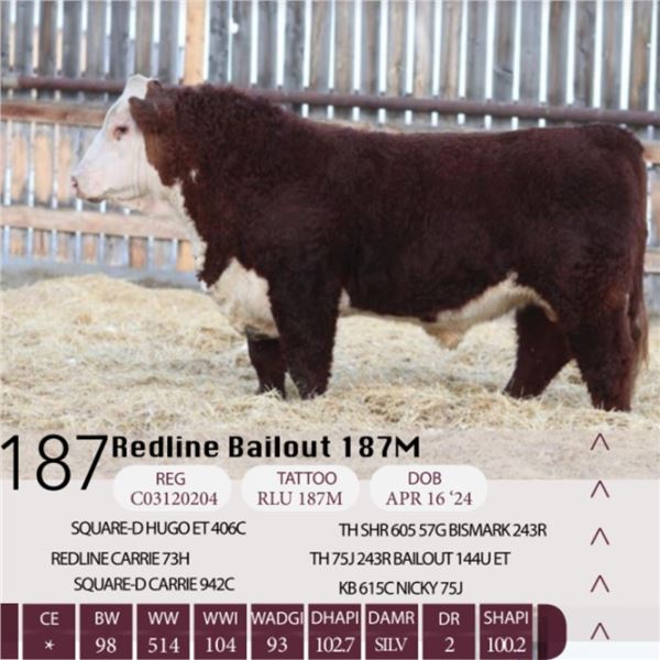 Redline Bailout 187M