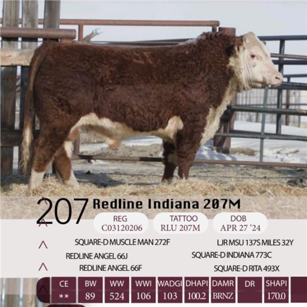 Redline Indiana 207M