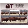 Image 1 : Redline Livestock - 5 Commercial Bred Heifers