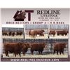 Image 1 : Redline Livestock - 4 Commercial Bred Heifers