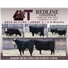 Image 1 : Redline Livestock - 2 Commercial Bred Heifers