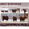 Image 1 : Half Diamond Hoar Farms - 3 Commercial Open Replacement Heifers