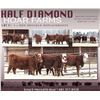 Image 1 : Half Diamond Hoar Farms - 4 Commercial Open Replacement Heifers