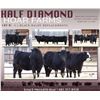 Image 1 : Half Diamond Hoar Farms - 3 Commercial Open Replacement Heifers