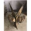 Image 2 : Group of 2 brass roosters table ornament