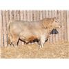 Image 1 : RAWES LUXTON 2M
