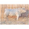 Image 1 : RAWES SAMSON 11M