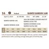 Image 2 : RAWES SAMSON 16M