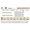 Image 2 : RAWES LUXTON 57M