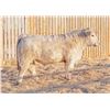 Image 1 : RAWES GUINNESS 120M