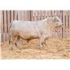 Image 1 : RAWES WESTERNER 191M