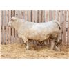 Image 1 : RAWES GUINNESS 234M