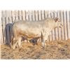 Image 1 : RAWES PRESTON 271M