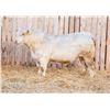 Image 1 : RAWES OSCAR 345M