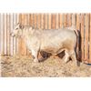 Image 1 : RAWES OSCAR 352M