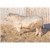 Image 1 : RAWES PRESTON 354M
