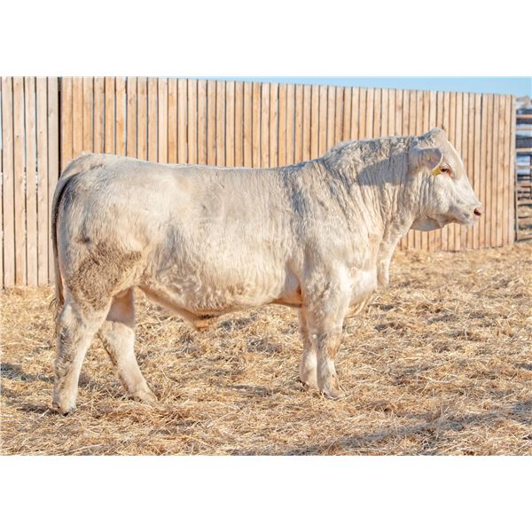 RAWES WESTERNER 410M