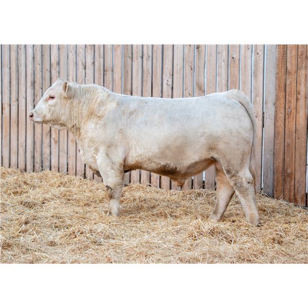 RAWES WESTERNER 657M