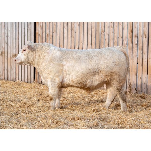 RAWES WESTERNER 658M