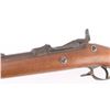 Image 4 : Springfield Model 1873 45-70 SN: 201020