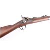 Image 8 : Springfield 1873 Carbine 45-70 SN: 126686