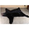 Image 5 : Black Bear Rug