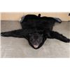 Image 6 : Black Bear Rug