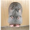 Image 2 : Fiberglass Hippopotamus Shoulder Mount