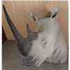 Image 2 : African Black Rhino Fiberglass Mount